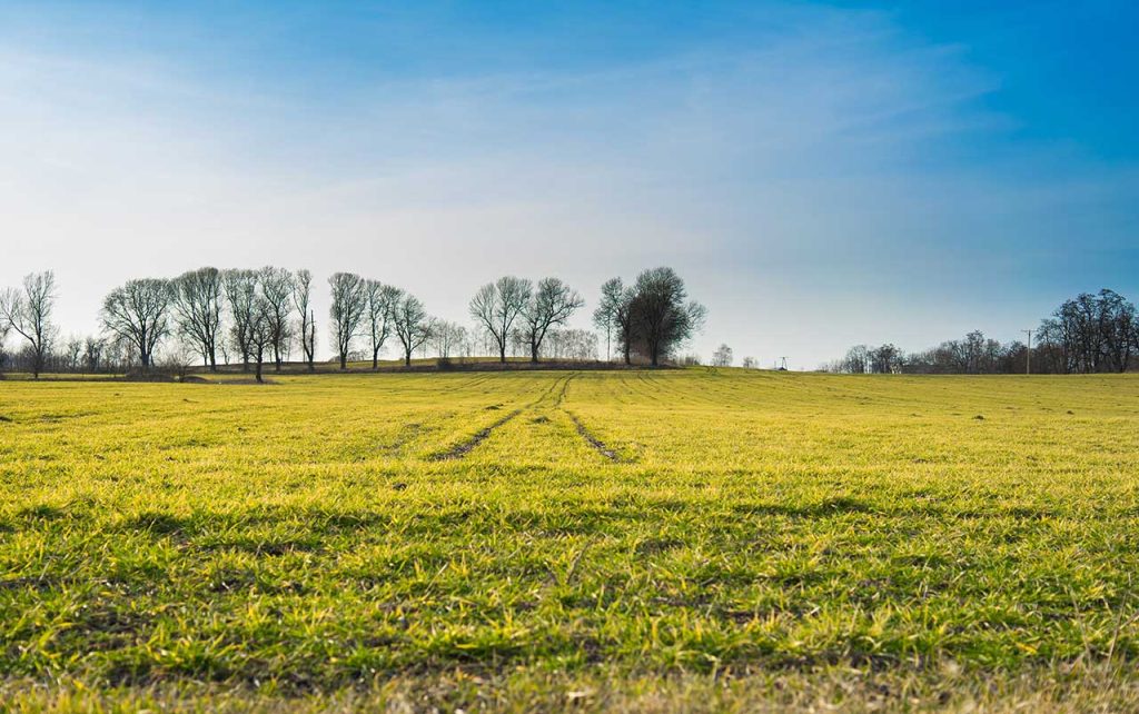 Sviluppo autorizzazione